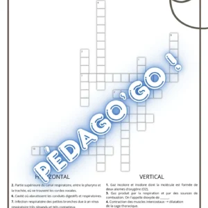 mots croisés – biologie humaine