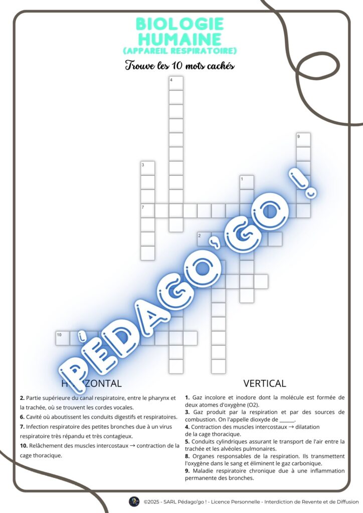 mots croisés – biologie humaine