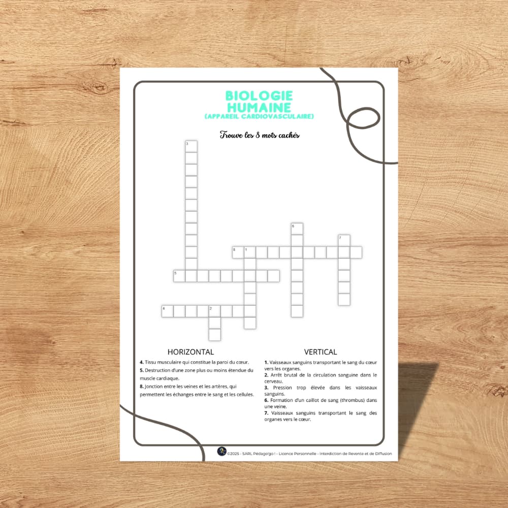 mots croisés – biologie humaine